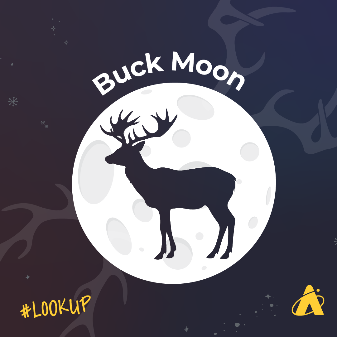 Adler Planetarium infographic depicting the full buck Moon on July 21, 2024. A silhouette of a buck is superimposed on the surface of the Moon, and antlers are reaching out from the sides of the Moon. 