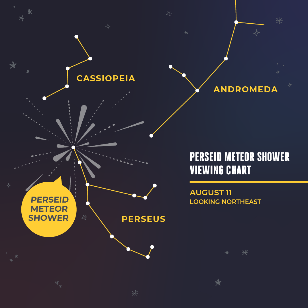 Adler Planetarium infographic depicting the Perseid meteor shower radiating from the Perseus constellation. The constellations Cassiopeia and Andromeda are nearby. Text reads “PERSEID METEOR SHOWER VIEWING CHART” “AUGUST 11” “LOOKING NORTHEAST”.