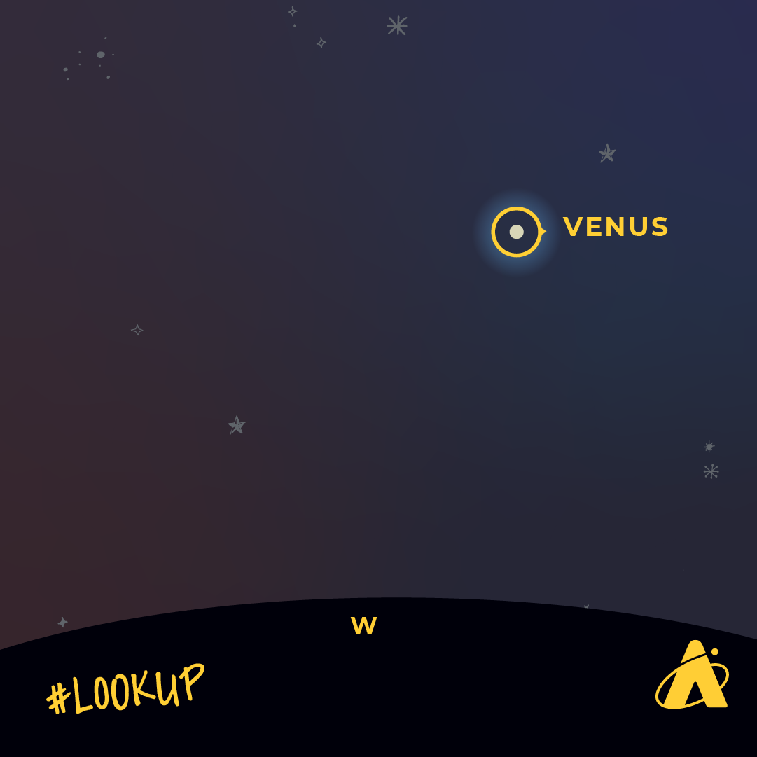 Adler Planetarium infographic depicting Venus on the western horizon. Venus appears as a bright spot with a yellow circle identifying it, atop a dark blue background with hand drawn stars. The text “#LOOKUP” is in the bottom left corner and the Adler Planetarium’s logo is in the bottom right corner. 