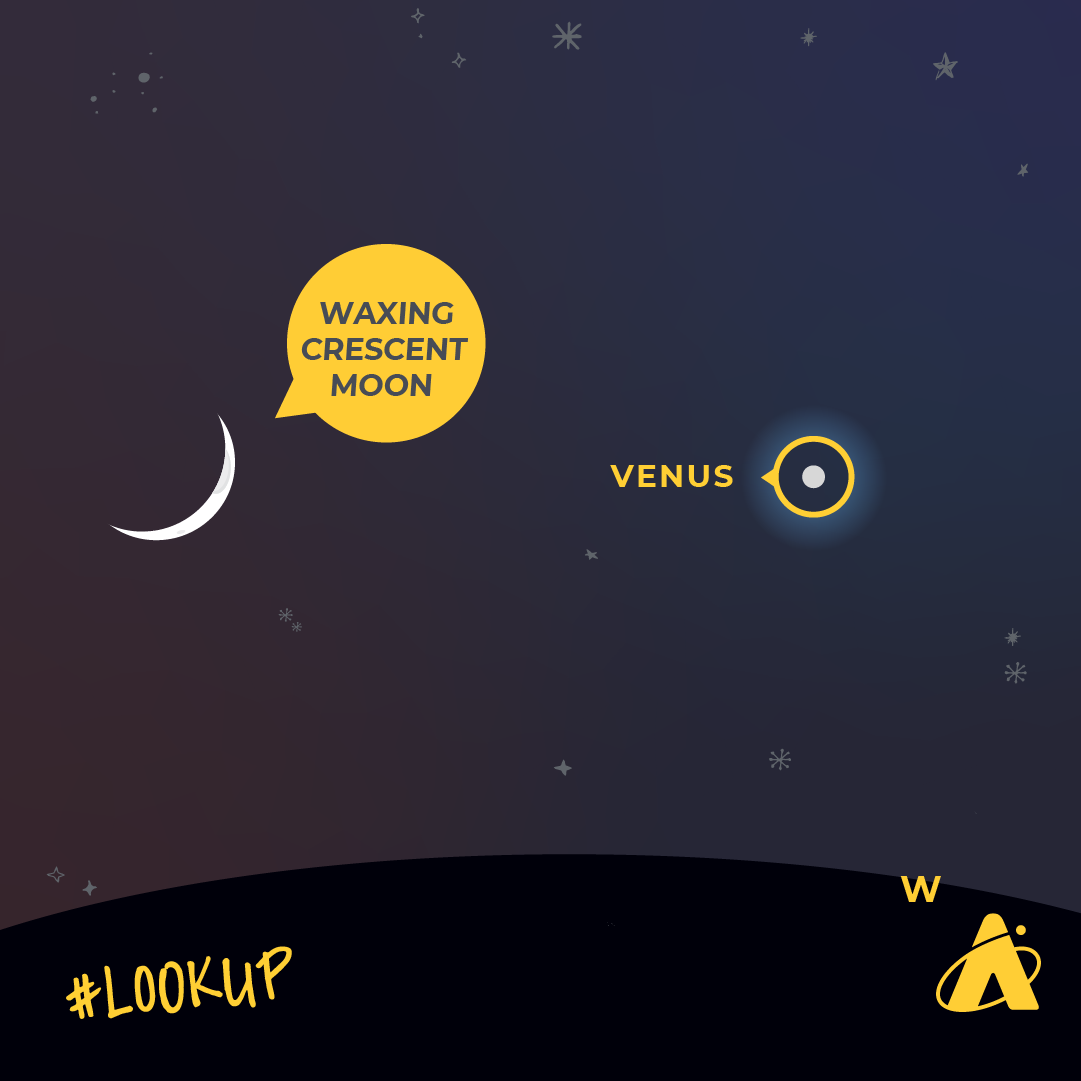 Adler Planetarium infographic depicting Venus and a waxing crescent Moon in close proximity on September 5, 2024. Atop a dark blue starry night backdrop, a bright white dot with a yellow identifying circle that reads “VENUS” sits to the right of a crescent Moon with a yellow identifying tag that reads “WAXING CRESCENT MOON.” At the bottom of the image, resting on the black horizon line is a yellow “W,” identifying the due west. “#LOOK UP” is in the bottom left corner with the Adler Planetarium’s yellow logo in the bottom right corner. 