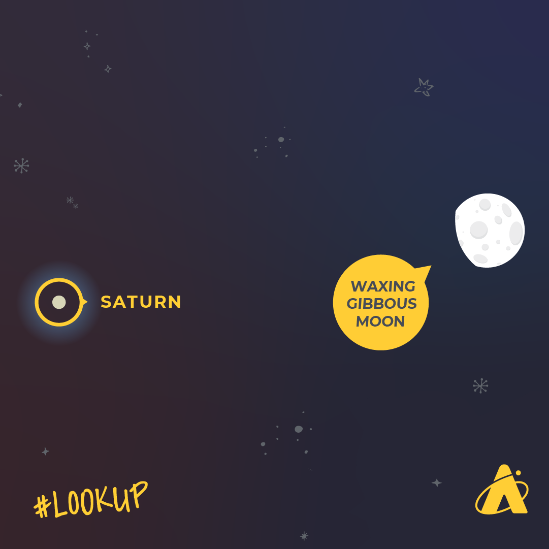 Adler Planetarium infographic depicting Saturn and a waxing gibbous Moon in close proximity on September 16, 2024 through the morning of September 17, 2024. A white dot, identified with a yellow circle around it and text that reads “SATURN,” sits to the left of a gibbous Moon with a yellow identifying tag that reads “WAXING GIBBOUS MOON.” “#LOOK UP” is in the bottom left corner with the Adler Planetarium’s yellow logo in the bottom right corner. 