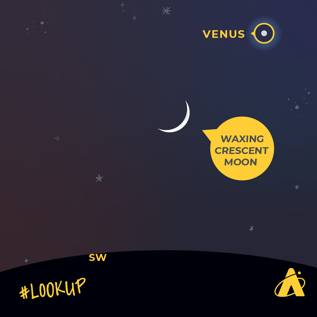 Adler Planetarium infographic depicting Venus and a waxing crescent Moon in close proximity on October 5, 2024. Atop a dark blue starry night backdrop, a bright white dot with a yellow identifying circle that reads “VENUS” sits above and to the right of a crescent Moon with a yellow identifying tag that reads “WAXING CRESCENT MOON.” At the bottom of the image, resting on the black horizon line is a yellow “SW,” identifying the southwest direction. “#LOOK UP” is in the bottom left corner with the Adler Planetarium’s yellow logo in the bottom right corner.