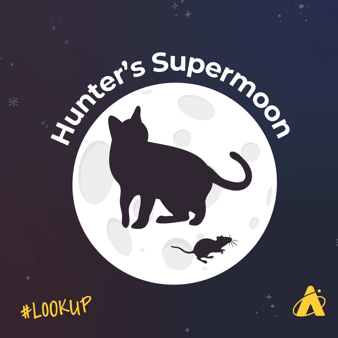 Adler Planetarium infographic depicting hunter’s supermoon on October 17, 2024. Atop a dark blue, starry backdrop, there is an illustration of a full Moon with a cat and mouse cut out of the center. Text above the Moon reads “Hunter’s Supermoon.” “#LOOK UP” is in the bottom left corner with the Adler Planetarium’s yellow logo in the bottom right corner.