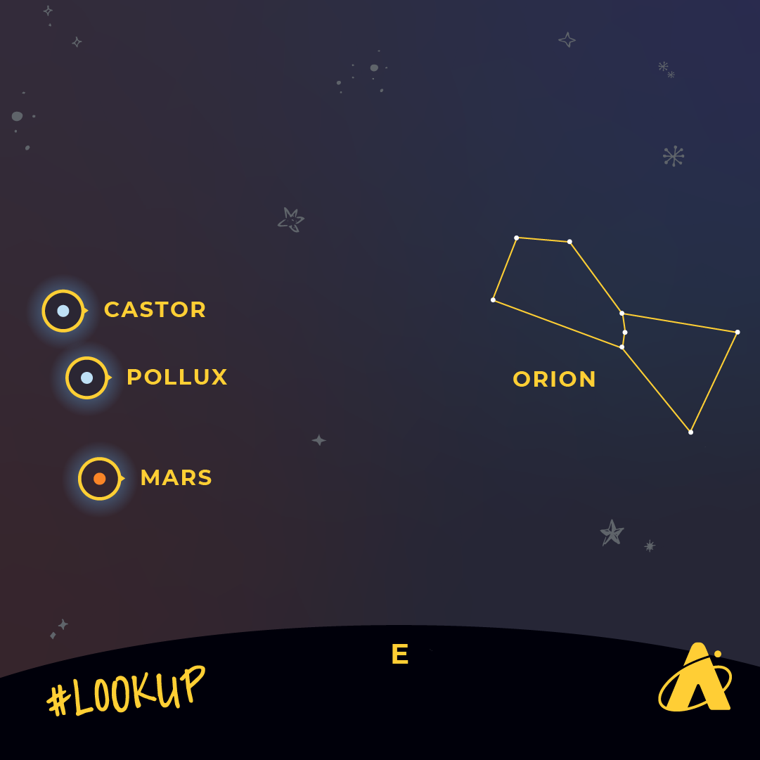 Adler Planetarium infographic depicting Mars, Castor, Pollux, and the Orion constellation on October 31, 2024. Atop a dark blue starry night backdrop, two blue/white dots appear with yellow identifying circles that reads “CASTOR” and “POLLUX”. Just below is a red dot with a yellow identifying circle that reads “MARS”. On the right side of the image, a line drawing of the constellation Orion appears with the corresponding name to the left of it. At the bottom of the image, resting on the black horizon line is a yellow “E,” identifying due east. “#LOOK UP” is in the bottom left corner with the Adler Planetarium’s yellow logo in the bottom right corner.