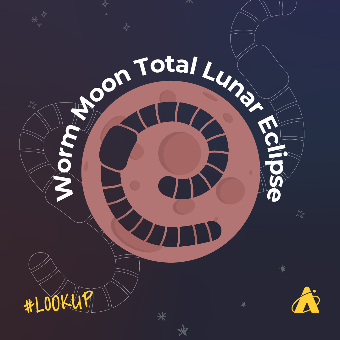 Adler Planetarium infographic depicting the Worm Moon Total Lunar Eclipse. A red Moon appears with an earth worm on its surface, with the text around the Moon reading “Worm Moon Total Lunar Eclipse”. “#LOOK UP” and the Adler Planetarium logo are at the bottom. 