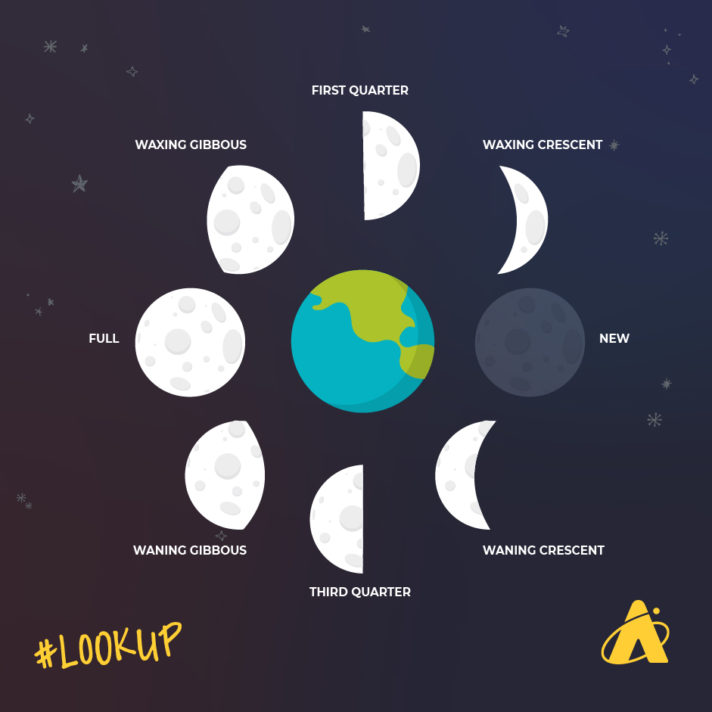 Solar Eclipses and Lunar Eclipses Explained - Adler Planetarium